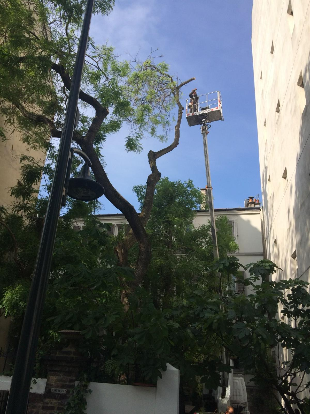 Entretien d'un espace vert arboré avec accès technique